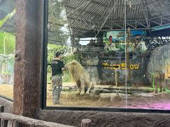 -清迈夜间动物园