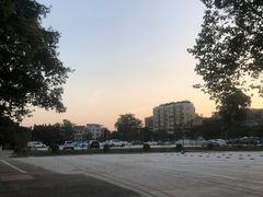 -长洲渡车船码头