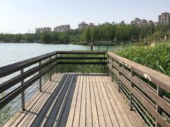 -马家湾湿地公园