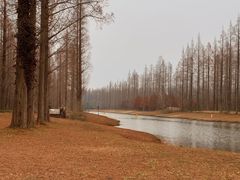 -黄海国家森林公园