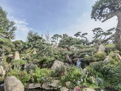 -罗红摄影艺术馆