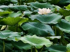 -青龙湖公园