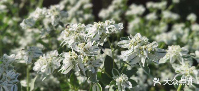 国家植物园南园图片