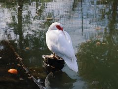 -楠溪江风景名胜区