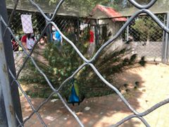 -长白岛森林公园