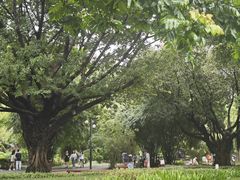 -晓港公园