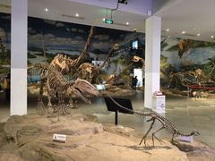 -自贡恐龙博物馆