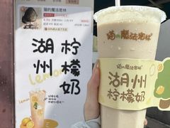 柠檬奶-猫的魔法密林(衣裳街店)