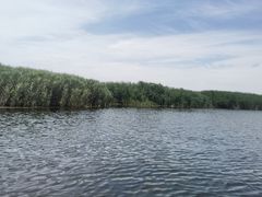 -乌梁素海景区