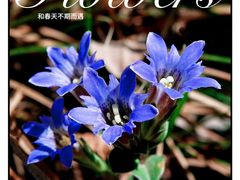 -玉渡山风景区-售票处