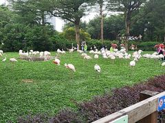 -广州长隆飞鸟乐园