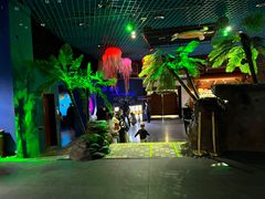 -太平洋海底世界