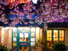 -玛格萝妮比萨屋(四平店)