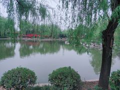 -清凉山国家森林公园
