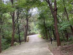 -金龙寺国家森林公园