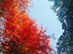-晓港公园