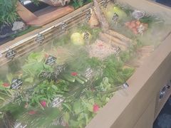 -慢丽江·云南野生菌土鸡锅(西山店)