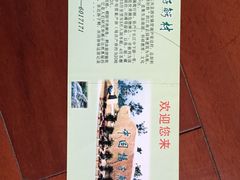-中国扬子鳄村