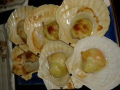 签到图片-真剑日本料理·铁板烧(贵州路店)