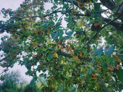 -春晖园度假酒店温泉