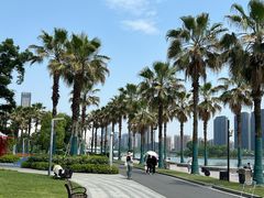 -金沙湖公园