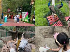 -水上乐园·欢乐世界