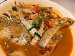 -杨氏青龙虾·羊蝎子(珠江路店)