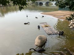 -中国移动南方基地