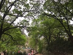 -延安杨家岭革命旧址