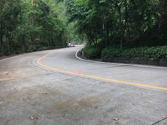 -大屏嶂森林公园