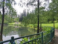 -深圳龙潭公园