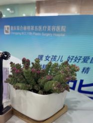 点击看大图 -重庆联合丽格第五医疗美容医院