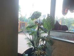 -椰小鸡·琼州糟粕醋·火锅(美兰缤纷城店)