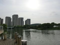 -新江湾城公园