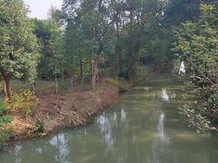 -同里国家湿地公园