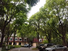 -汾阳花园酒店·餐厅(徐汇店)