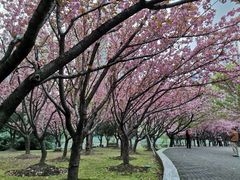 -苏州河梦清园环保主题公园