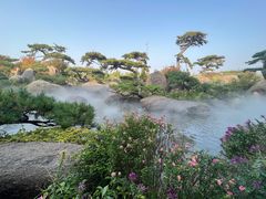 -罗红摄影艺术馆