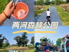 -两河城市森林公园