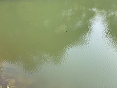 -缙云山景区