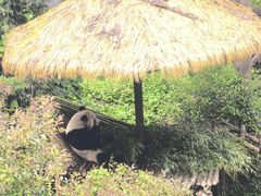 -昆明动物园