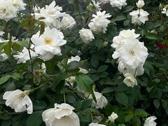 -人民公园(罗湖区)