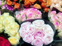 -双季花艺园艺市场(浦东店)