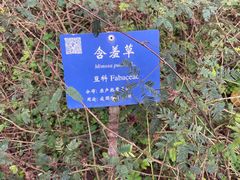 -中国科学院西双版纳热带植物园