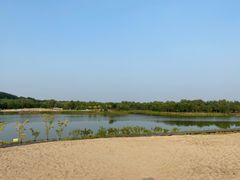 -东郊湿地公园