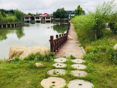 -盐城丹顶鹤湿地生态旅游区