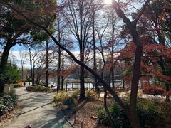 -井之头恩赐公园