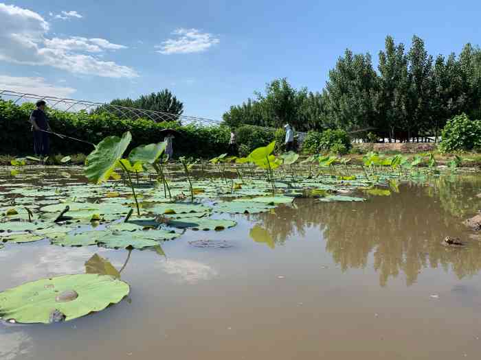 摩登家庭农场图片