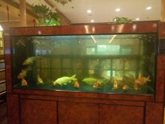 -庐州太太(双岗店)