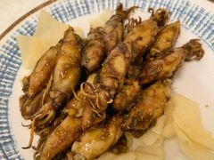 美极小羔鱿-汇兴源餐馆(小北路店)